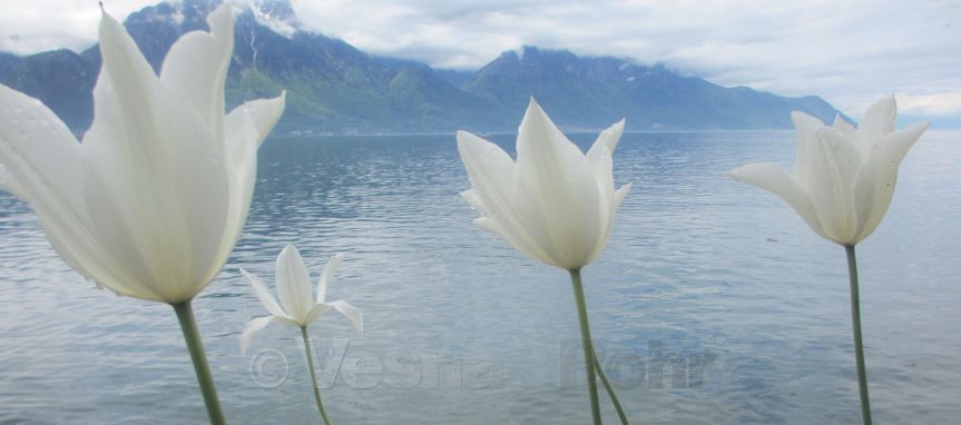 Vue depuis les quais de Montreux sur le lac Léman